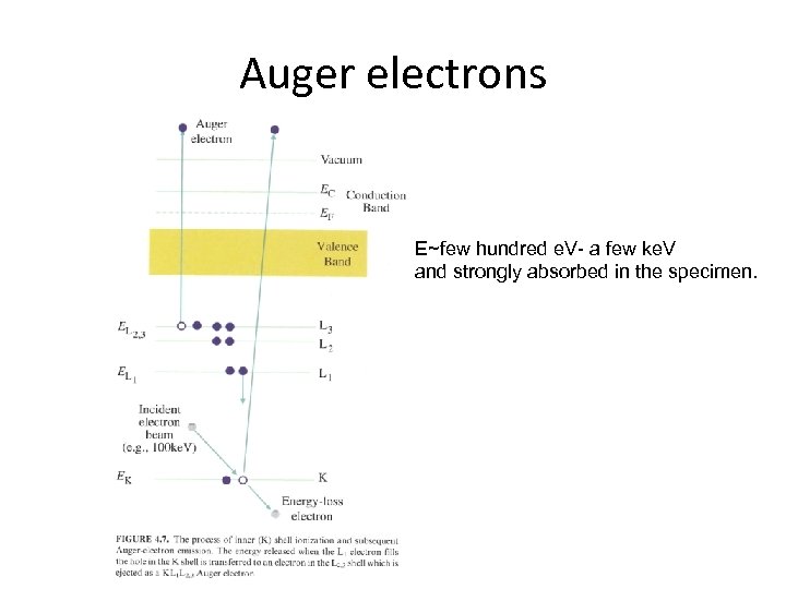 Auger electrons E~few hundred e. V- a few ke. V and strongly absorbed in