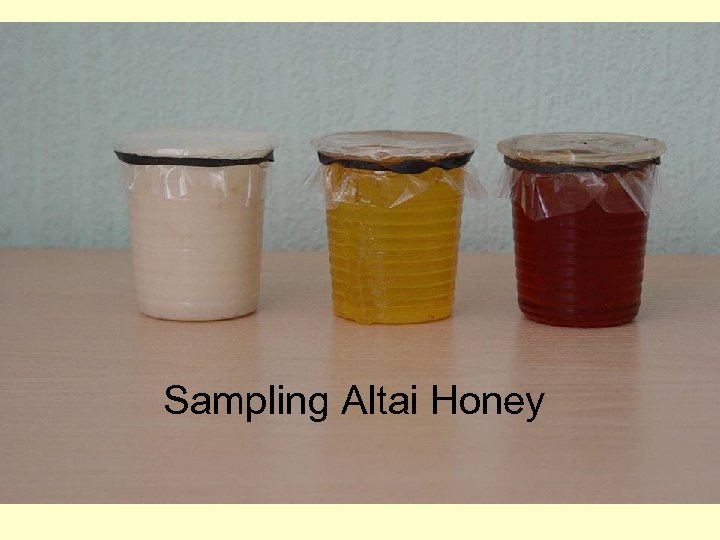 Sampling Altai Honey 