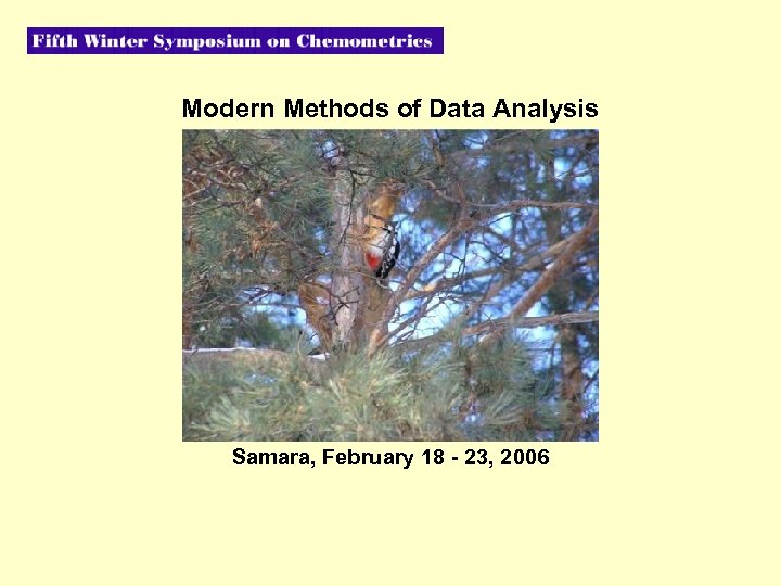 Modern Methods of Data Analysis Samara, February 18 - 23, 2006 