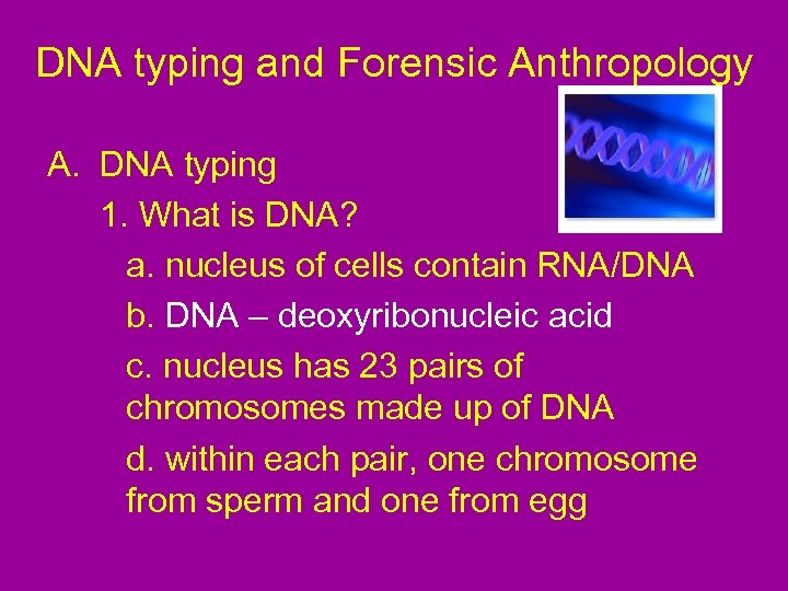 DNA typing and Forensic Anthropology A. DNA typing 1. What is DNA? a. nucleus