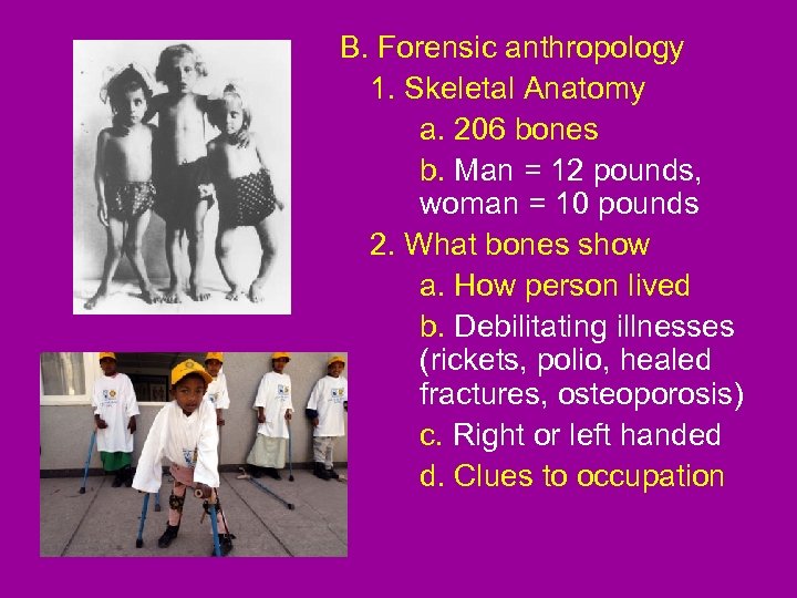 B. Forensic anthropology 1. Skeletal Anatomy a. 206 bones b. Man = 12 pounds,