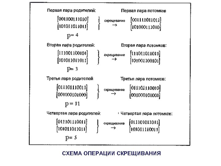 СХЕМА ОПЕРАЦИИ СКРЕЩИВАНИЯ 