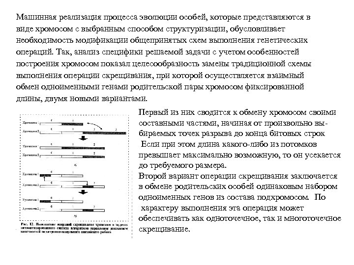 Машинная реализация процесса эволюции особей, которые представляются в виде хромосом с выбранным способом структуризации,