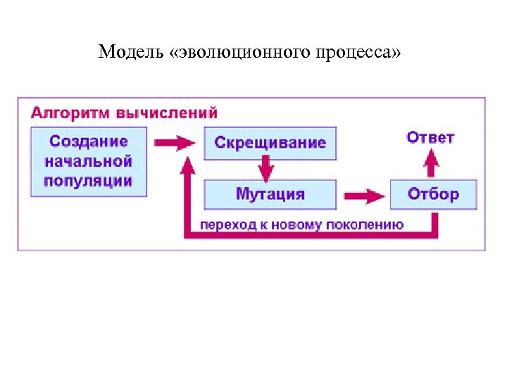 Модель «эволюционного процесса» 