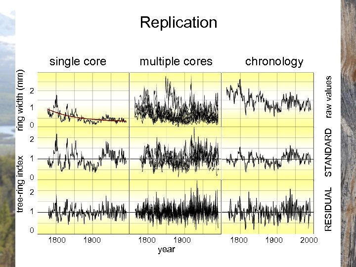 Replication 1800 chronology raw values multiple cores 2 1 0 STANDARD ring width (mm)