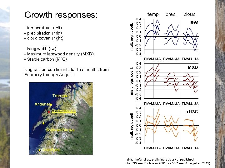 Growth responses: temp prec cloud - temperature (left) - precipitation (mid) - cloud cover