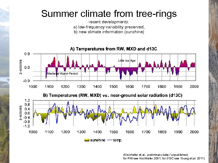 Summer climate from tree-rings recent developments: a) low-frequency variability preserved, b) new climate information