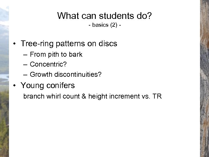 What can students do? - basics (2) - • Tree-ring patterns on discs –