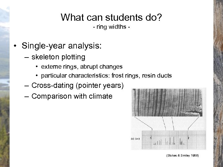 What can students do? - ring widths - • Single-year analysis: – skeleton plotting