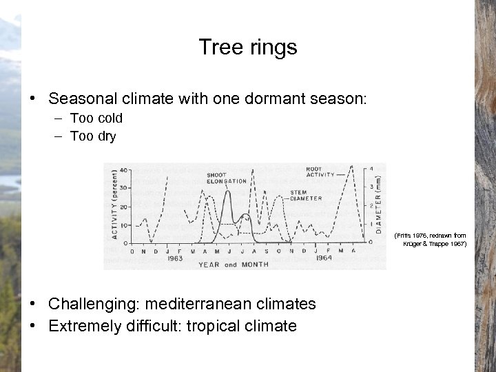 Tree rings • Seasonal climate with one dormant season: – Too cold – Too