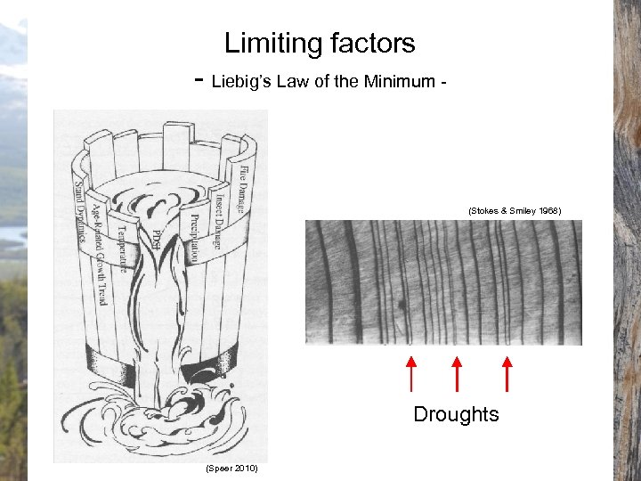 Limiting factors - Liebig’s Law of the Minimum - (Stokes & Smiley 1968) Droughts