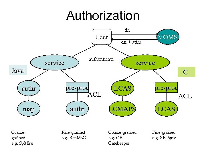 Authorization dn User dn + attrs authenticate service VOMS service Java authr map Coarsegrained