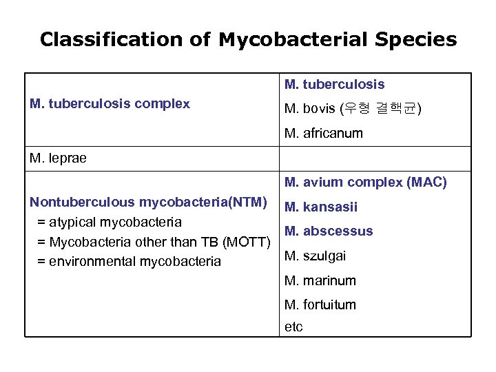 Classification of Mycobacterial Species M. tuberculosis complex M. bovis (우형 결핵균) M. africanum M.