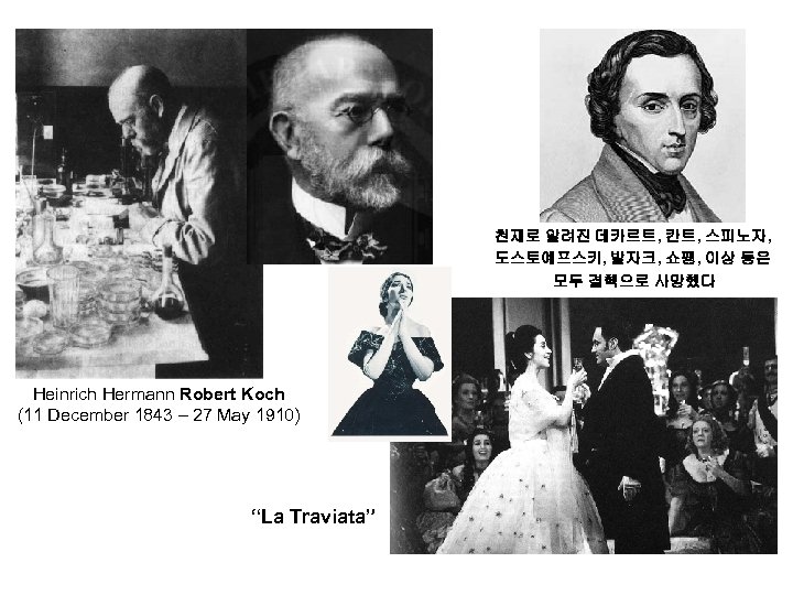 천재로 알려진 데카르트, 칸트, 스피노자, 도스토예프스키, 발자크, 쇼팽, 이상 등은 모두 결핵으로 사망했다 Heinrich