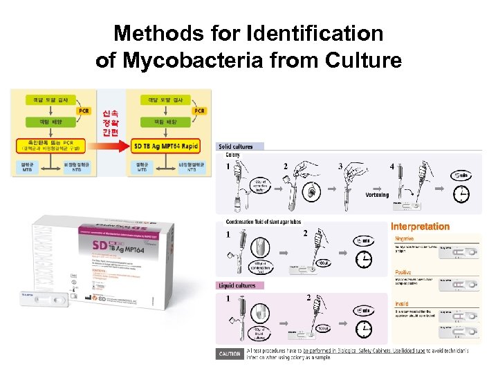 Methods for Identification of Mycobacteria from Culture 