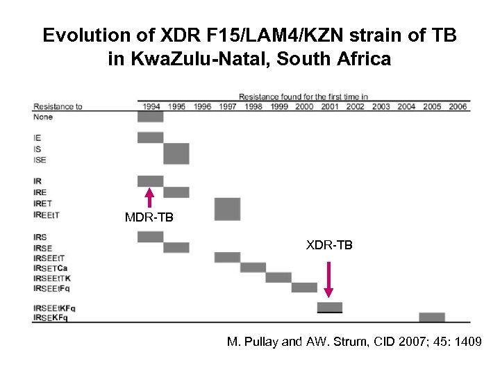 Evolution of XDR F 15/LAM 4/KZN strain of TB in Kwa. Zulu-Natal, South Africa