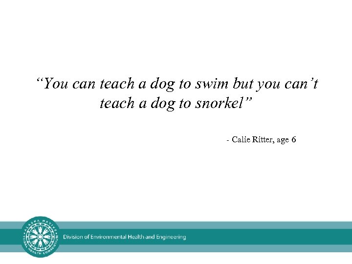 “You can teach a dog to swim but you can’t teach a dog to
