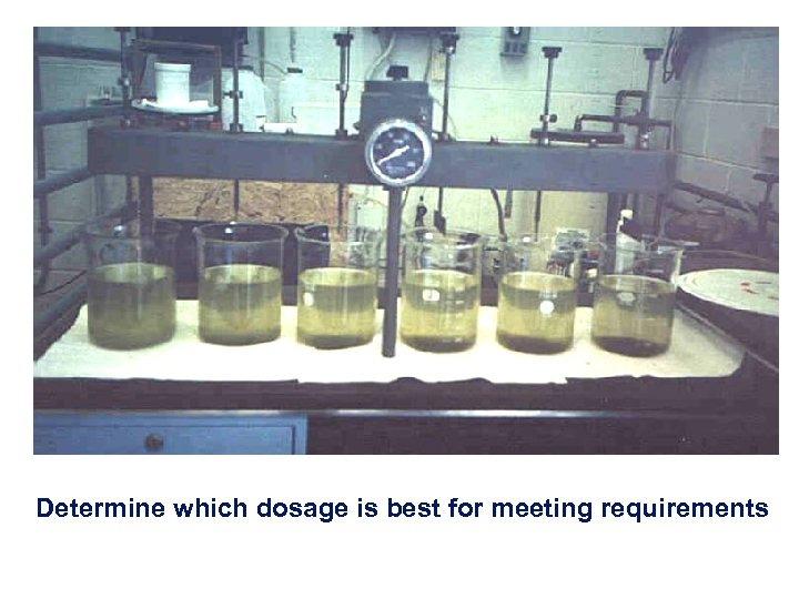 Determine which dosage is best for meeting requirements 