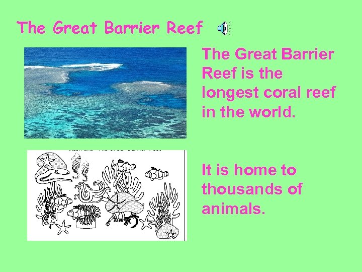 The Great Barrier Reef is the longest coral reef in the world. It is