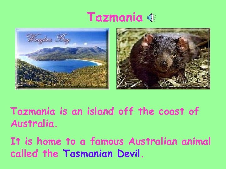 Tazmania is an island off the coast of Australia. It is home to a