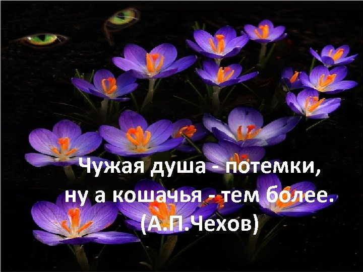 Чужая душа потемки