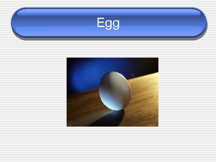 Egg 