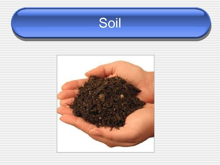 Soil 