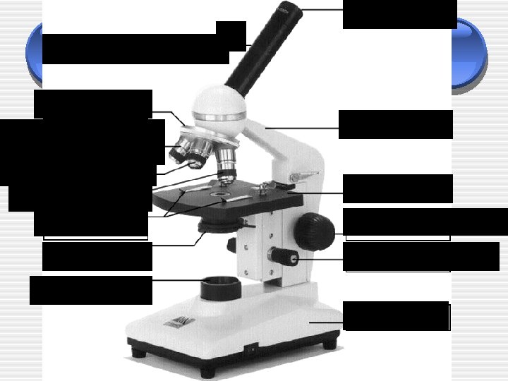 Ocular lens Nose Piece Low power objective lens Med. Odj. lens High power obj