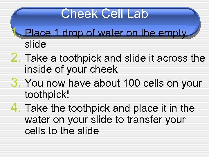 Cheek Cell Lab 1. Place 1 drop of water on the empty 2. 3.