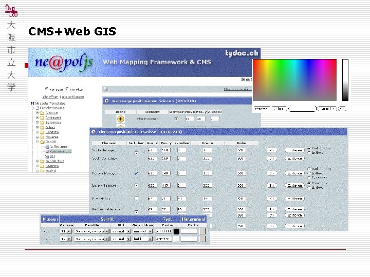 CMS+Web GIS 