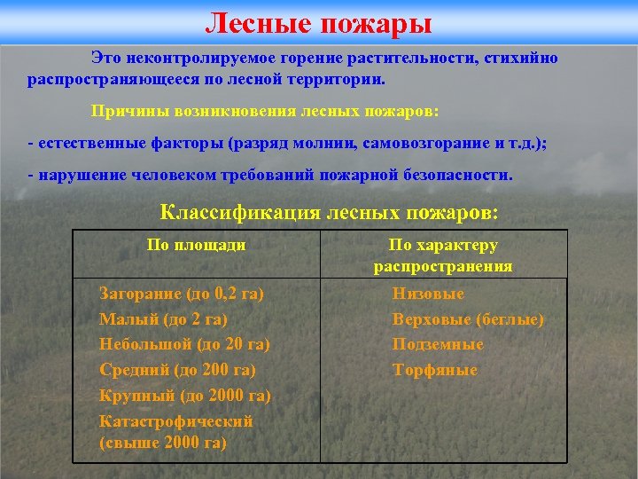 Вследствие лесных пожаров. Классификация лесных пожаров. Причины лесных пожаров. ЧС Лесные пожары и классификация. Лесные пожары по скорости распространения.