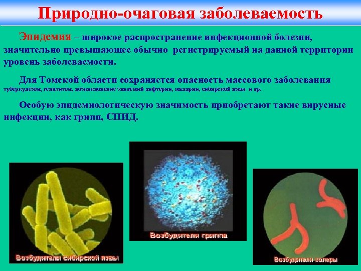 Природно-очаговая заболеваемость Эпидемия – широкое распространение инфекционной болезни, значительно превышающее обычно регистрируемый на данной