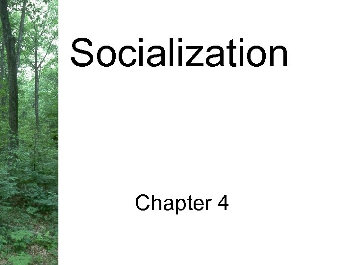 Socialization Chapter 4 