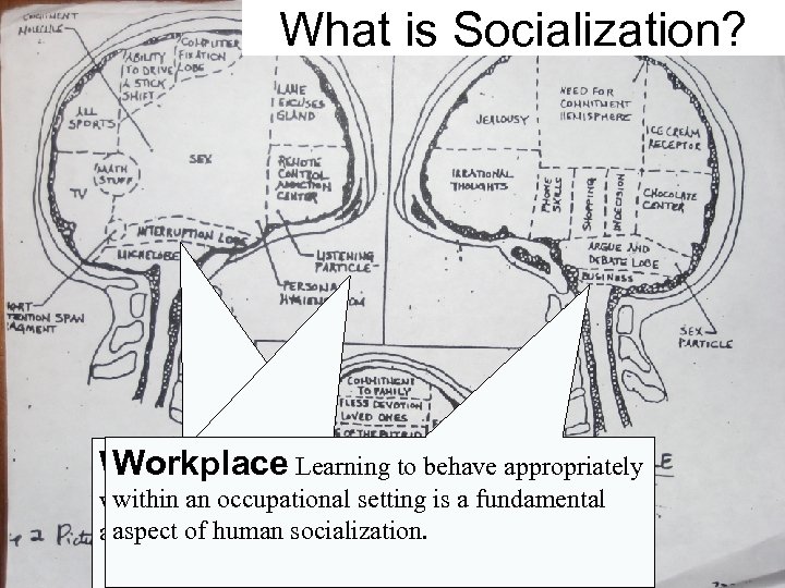 What is Socialization? Workplace Learning to behave appropriately within an occupational setting a fundamental