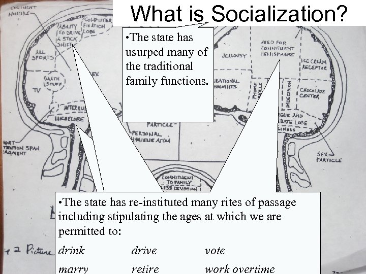 What is Socialization? • The state has usurped many of the traditional family functions.