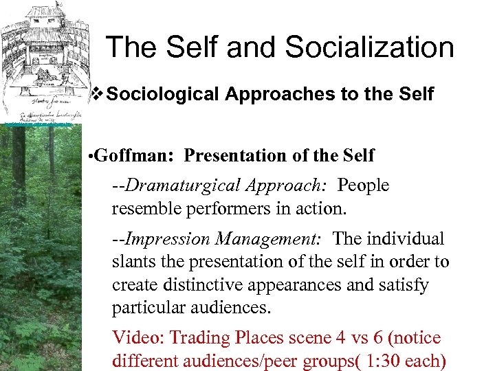 The Self and Socialization v Sociological Approaches to the Self http: //shakespeare. palomar. edu/theatre.