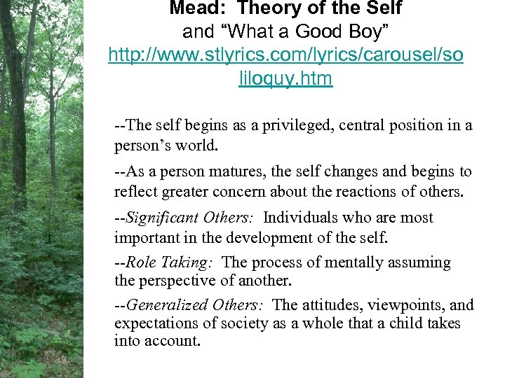 Mead: Theory of the Self and “What a Good Boy” http: //www. stlyrics. com/lyrics/carousel/so