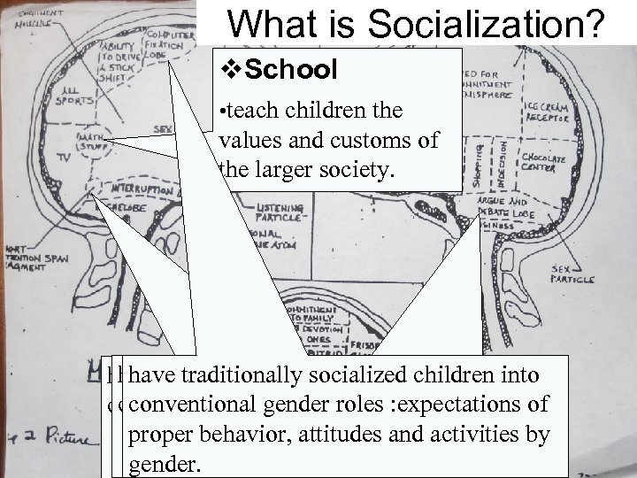 What is Socialization? v. School • teach children the values and customs of the