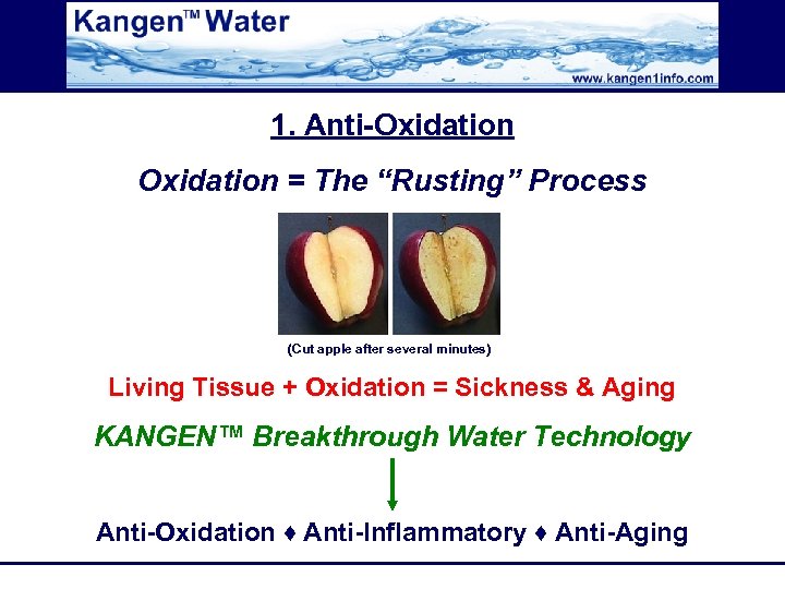 1. Anti-Oxidation = The “Rusting” Process (Cut apple after several minutes) Living Tissue +