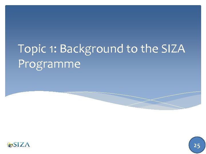Topic 1: Background to the SIZA Programme 25 