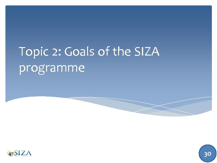 Topic 2: Goals of the SIZA programme 30 