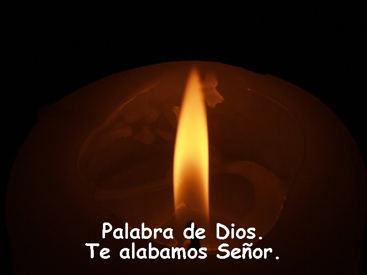 Palabra de Dios. Te alabamos Señor. 