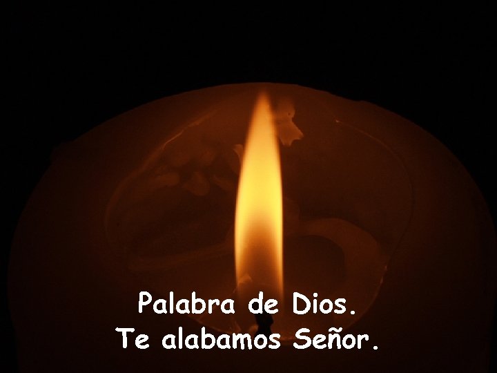 Palabra de Dios. Te alabamos Señor. 