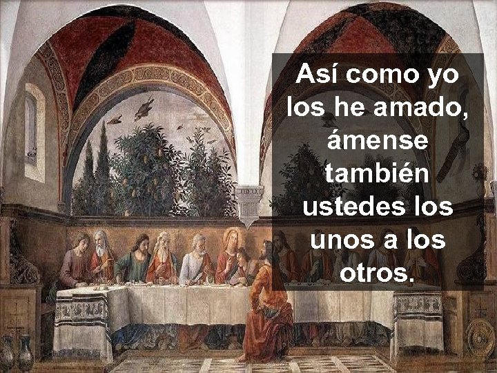 Así como yo los he amado, ámense también ustedes los unos a los otros.