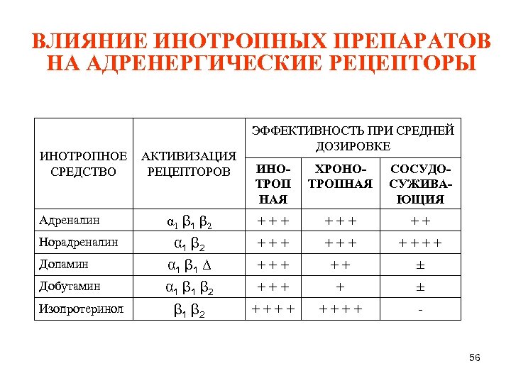 ВЛИЯНИЕ ИНОТРОПНЫХ ПРЕПАРАТОВ НА АДРЕНЕРГИЧЕСКИЕ РЕЦЕПТОРЫ ИНОТРОПНОЕ АКТИВИЗАЦИЯ СРЕДСТВО РЕЦЕПТОРОВ ЭФФЕКТИВНОСТЬ ПРИ СРЕДНЕЙ ДОЗИРОВКЕ