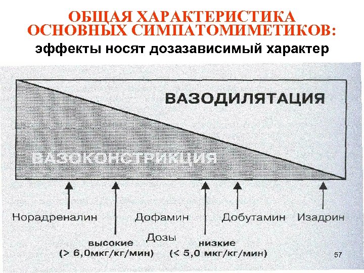 ОБЩАЯ ХАРАКТЕРИСТИКА ОСНОВНЫХ СИМПАТОМИМЕТИКОВ: эффекты носят дозазависимый характер 57 