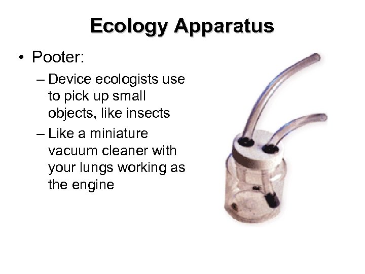 Ecology Apparatus • Pooter: – Device ecologists use to pick up small objects, like