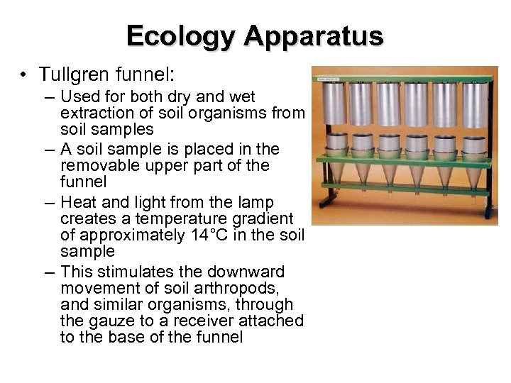 Ecology Apparatus • Tullgren funnel: – Used for both dry and wet extraction of