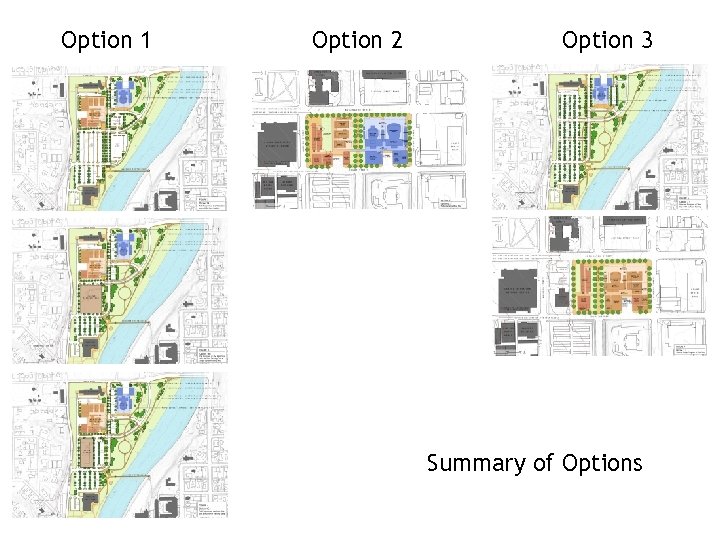 Option 1 Option 2 Option 3 Summary of Options 