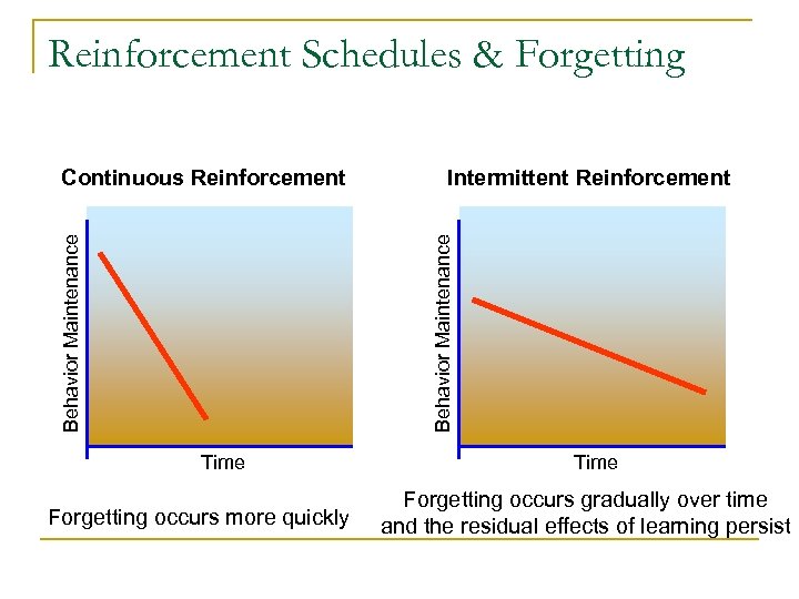 Reinforcement Schedules & Forgetting Intermittent Reinforcement Behavior Maintenance Continuous Reinforcement Time Forgetting occurs more